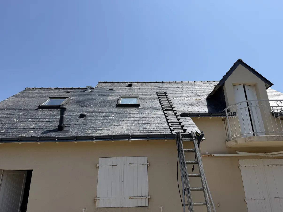 Toiture en ardoise blanchie par les mousses et les lichens avant nettoyage