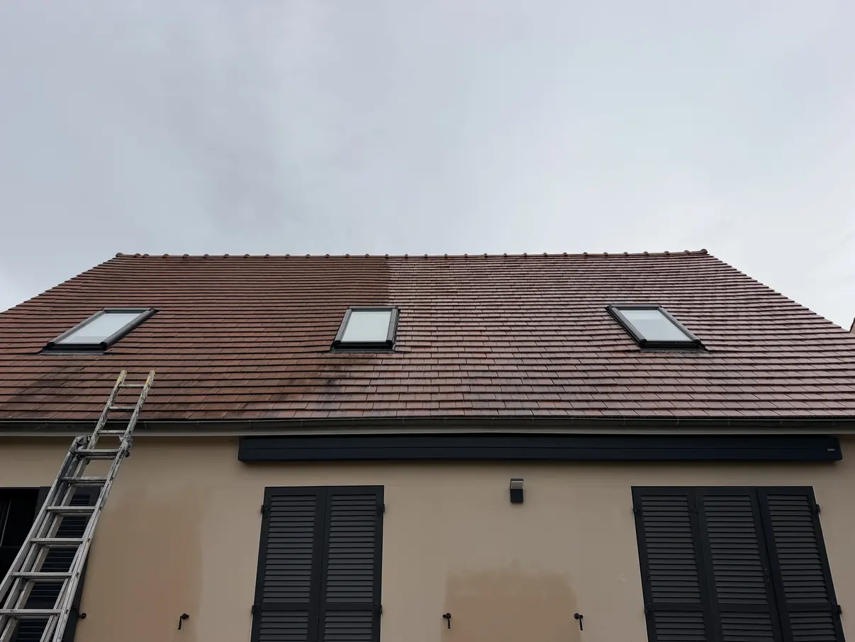 Toiture en tuiles encrassée avant démoussage, échelle en place